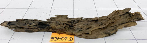 53407D - Drachenholz / Dragonwood