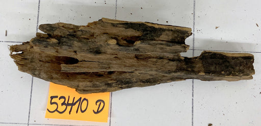 53410D - Drachenholz / Dragonwood