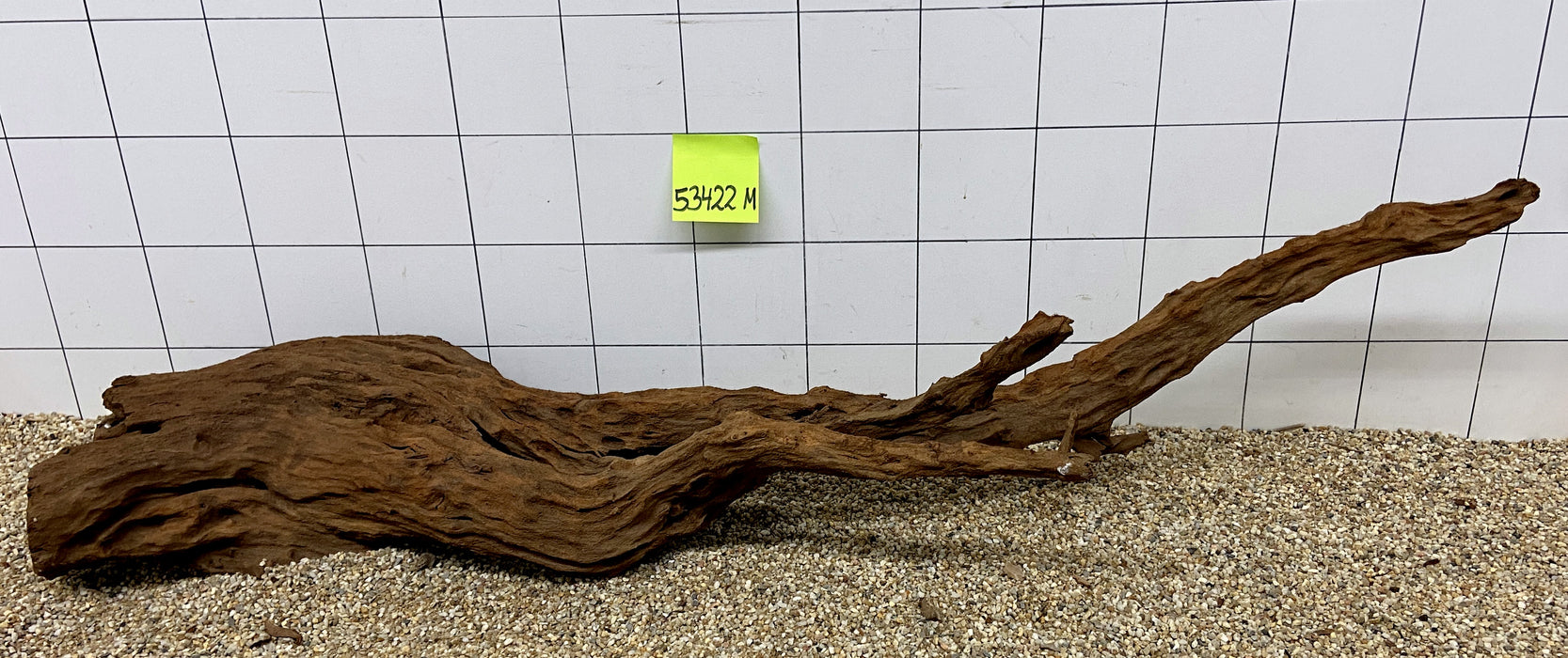 53422M - Mangrovenwurzel Holz XL
