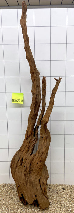 53422M - Mangrovenwurzel Holz XL