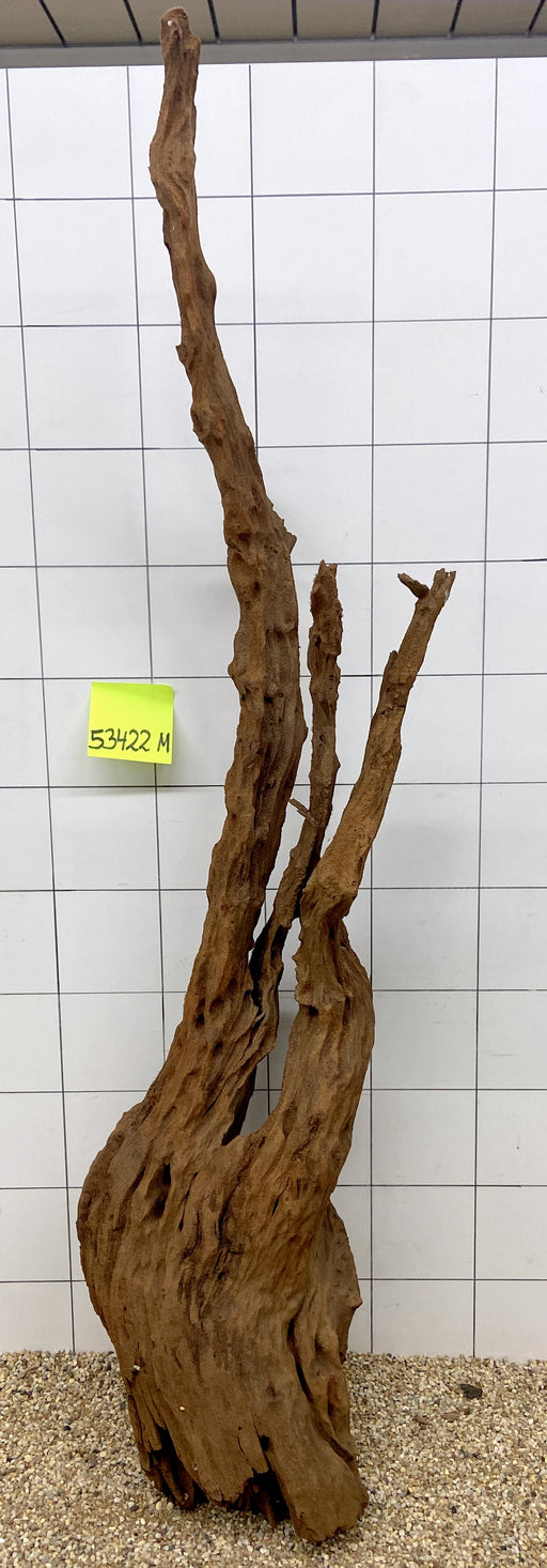 53422M - Mangrovenwurzel Holz XL