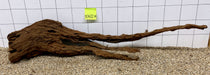 53422M - Mangrovenwurzel Holz XL