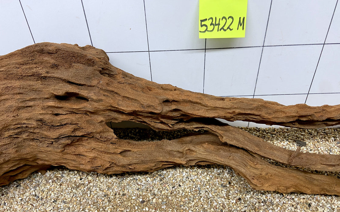 53422M - Mangrovenwurzel Holz XL