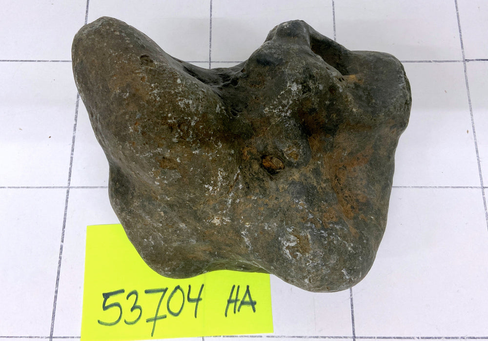 53704HA Hakkai Stone Flussstein