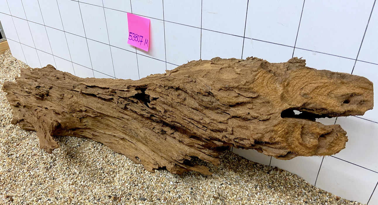 53807M - Mangrovenwurzel Holz XL