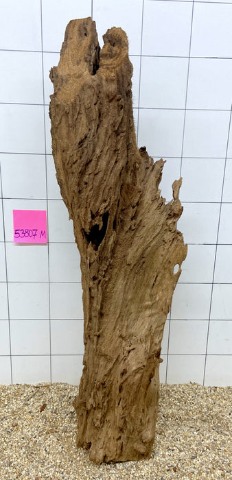 53807M - Mangrovenwurzel Holz XL