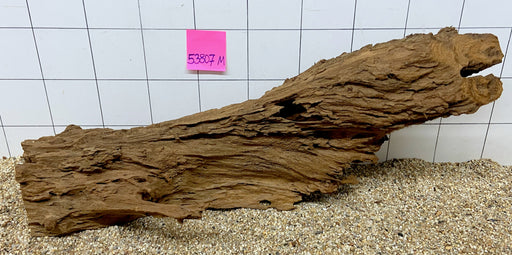 53807M - Mangrovenwurzel Holz XL