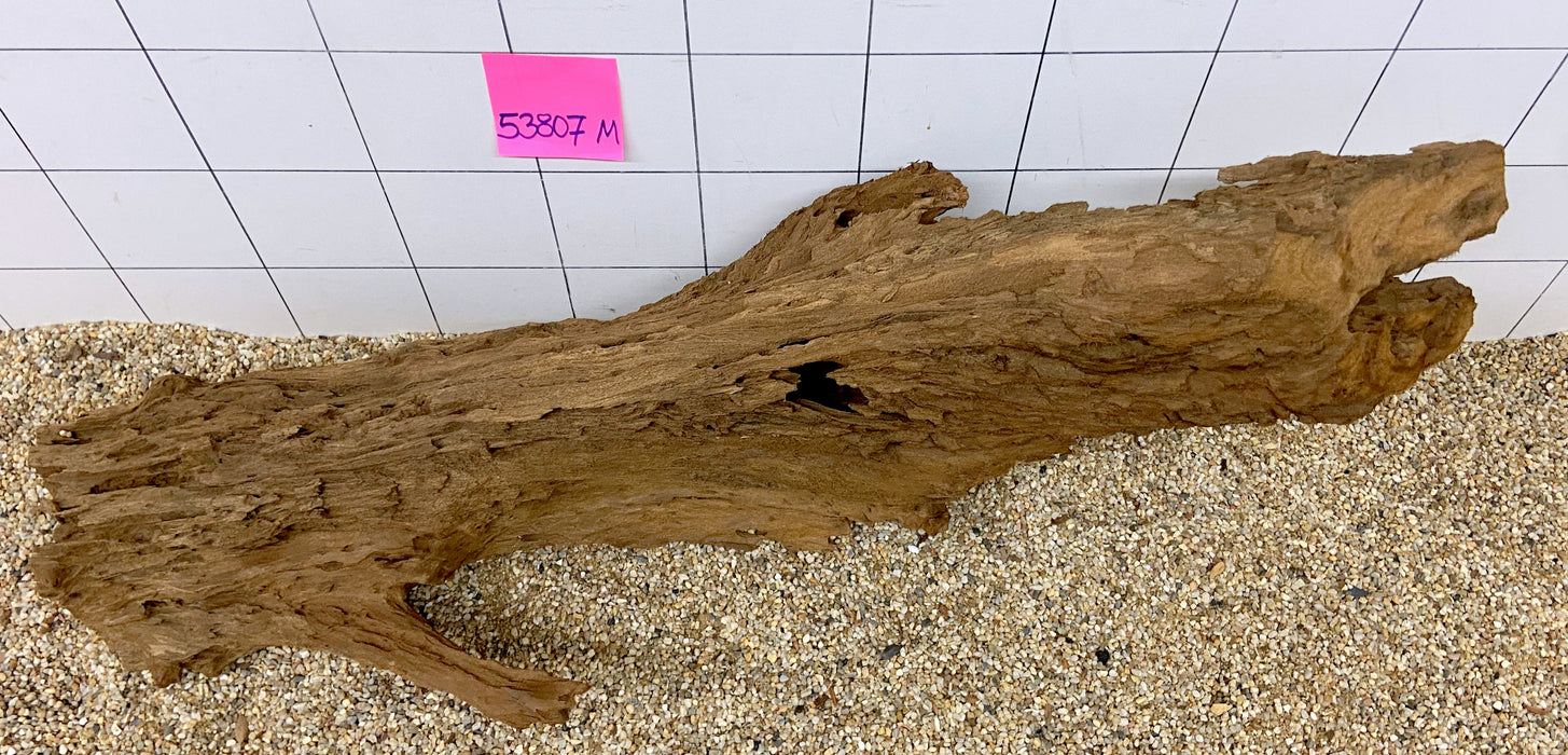 53807M - Mangrovenwurzel Holz XL