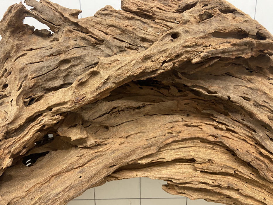 53808M - Mangrovenwurzel Holz XL