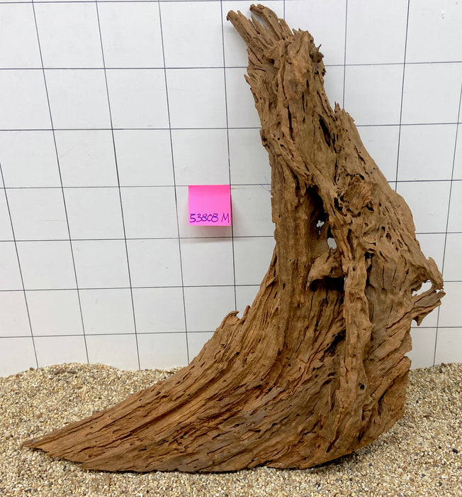 53808M - Mangrovenwurzel Holz XL
