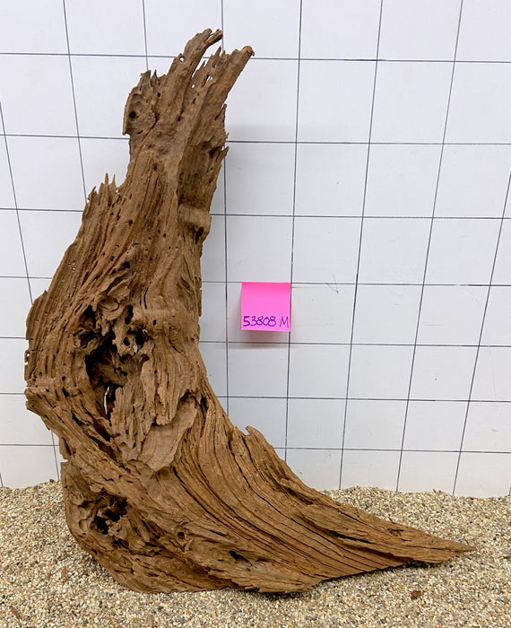 53808M - Mangrovenwurzel Holz XL
