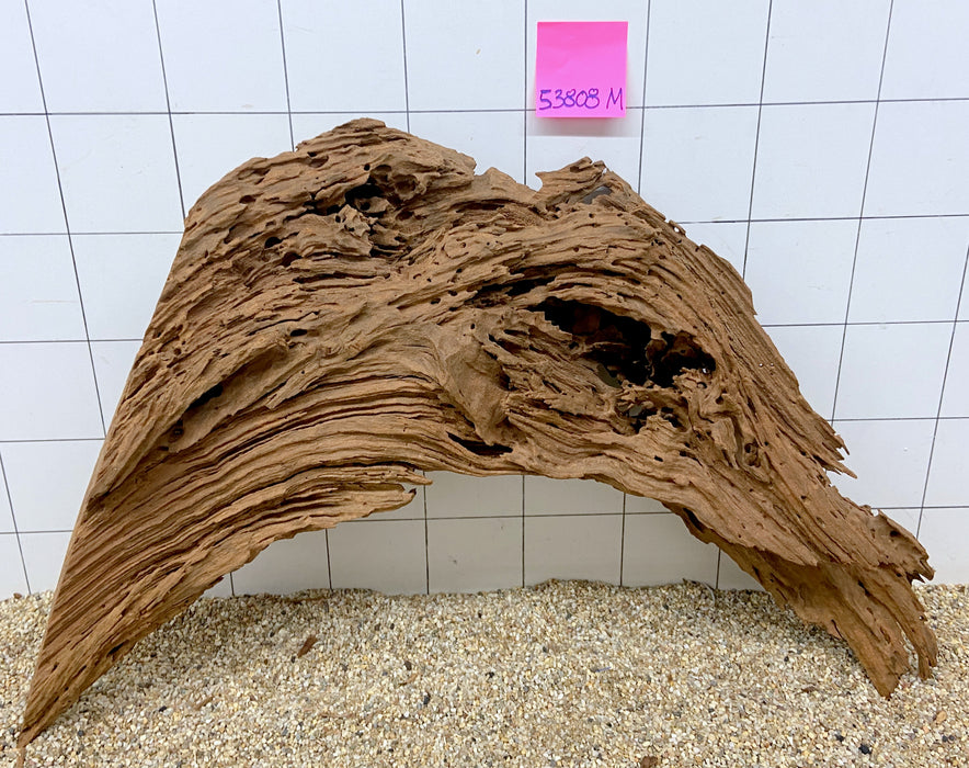 53808M - Mangrovenwurzel Holz XL