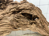 53808M - Mangrovenwurzel Holz XL