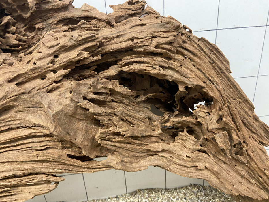 53808M - Mangrovenwurzel Holz XL