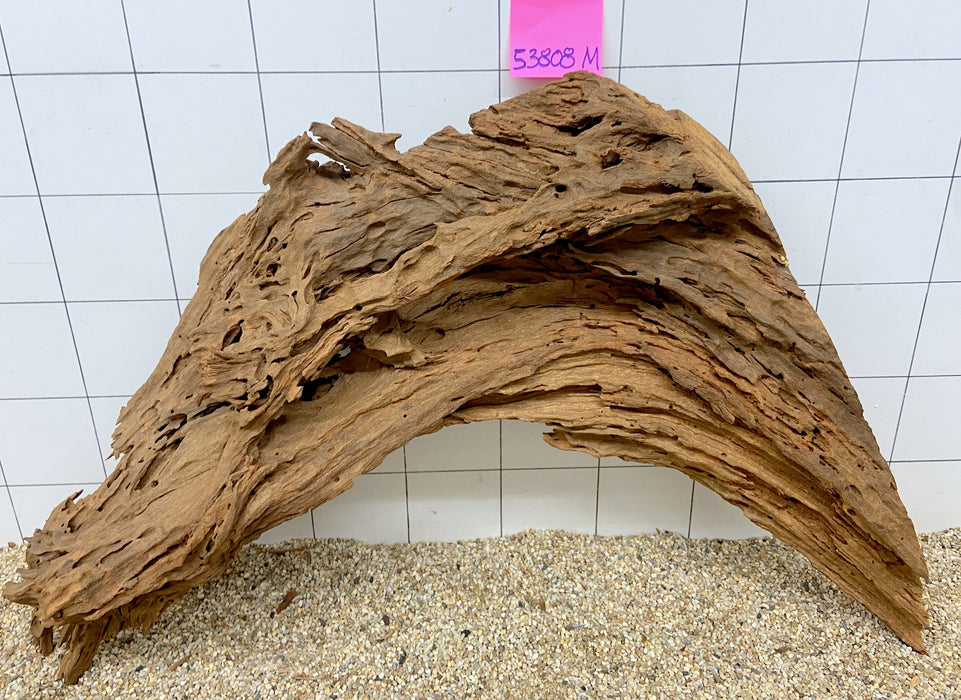 53808M - Mangrovenwurzel Holz XL