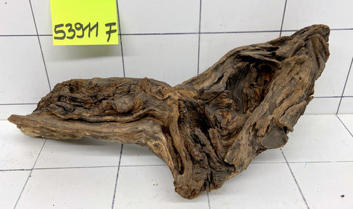 53911F Flussholz / Driftwood