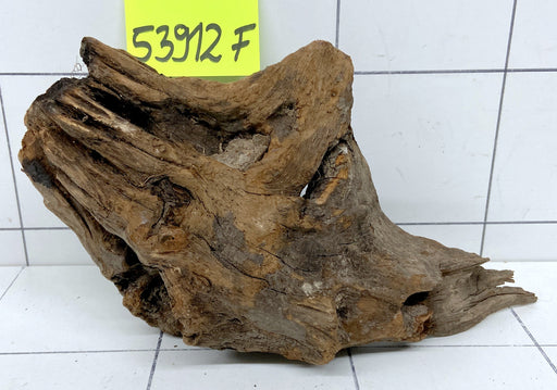 SONDERPREIS - 53912F Flussholz / Driftwood