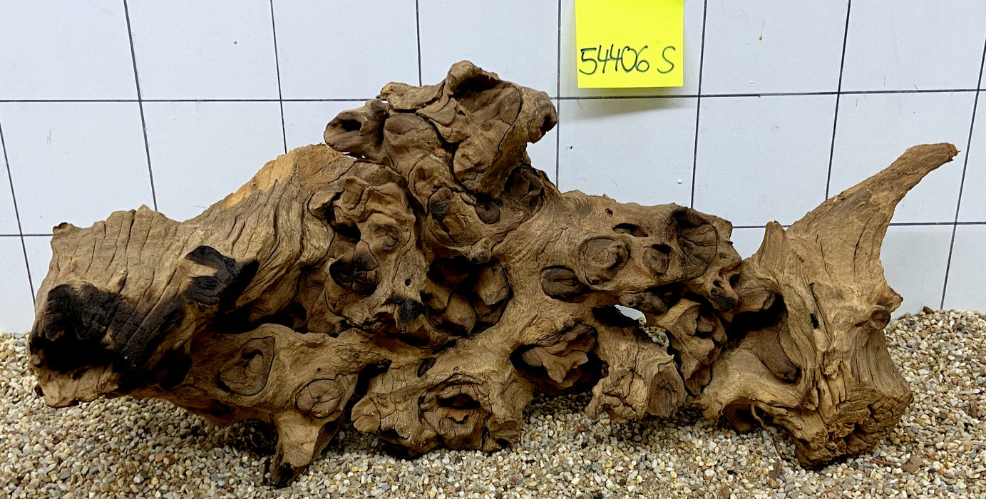 54406S Samoa Wurzel Holz