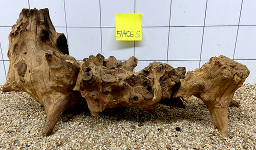 54406S Samoa Wurzel Holz