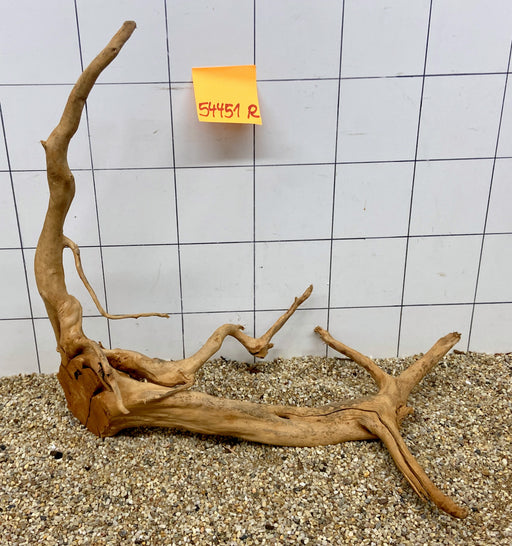 54451R Fingerwood / Rote Moorwurzel Holz