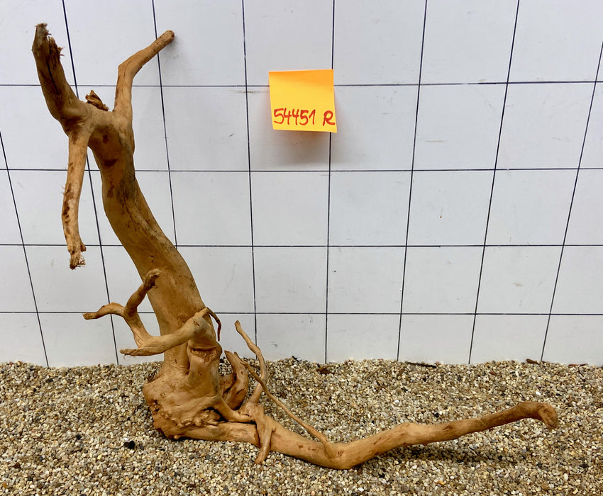 54451R Fingerwood / Rote Moorwurzel Holz