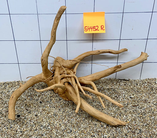 54452R Fingerwood / Rote Moorwurzel Holz