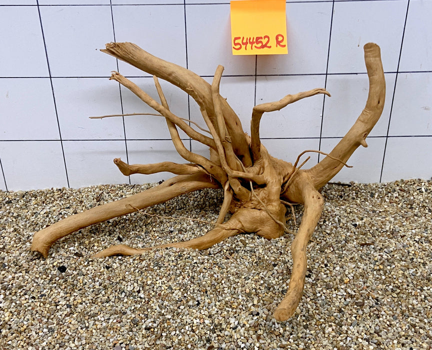 54452R Fingerwood / Rote Moorwurzel Holz