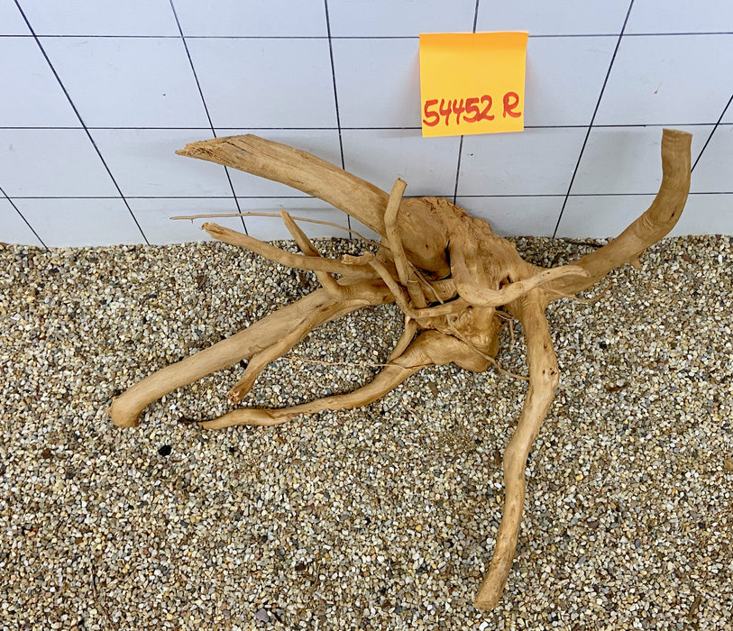 54452R Fingerwood / Rote Moorwurzel Holz