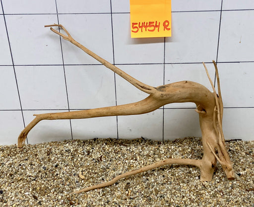 54454R Fingerwood / Rote Moorwurzel Holz