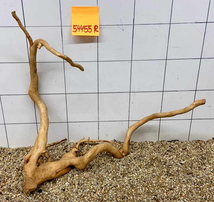 54455R Fingerwood / Rote Moorwurzel Holz