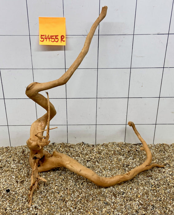 54455R Fingerwood / Rote Moorwurzel Holz