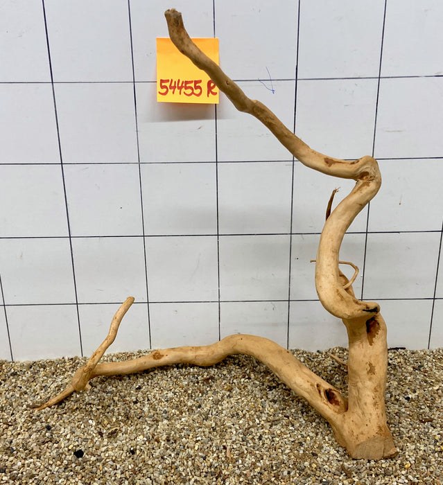 54455R Fingerwood / Rote Moorwurzel Holz