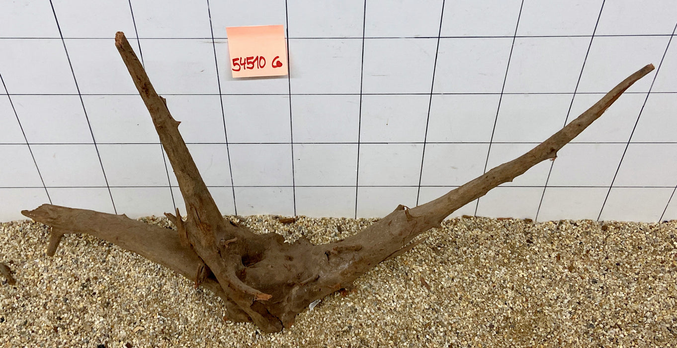 54510CO - Corbo Wurzel Holz