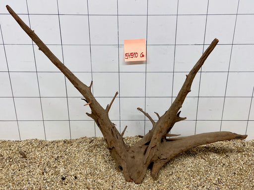 54510CO - Corbo Wurzel Holz