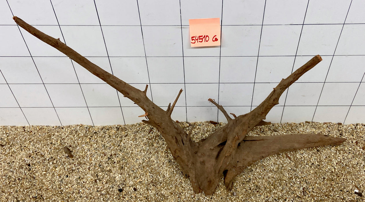 54510CO - Corbo Wurzel Holz