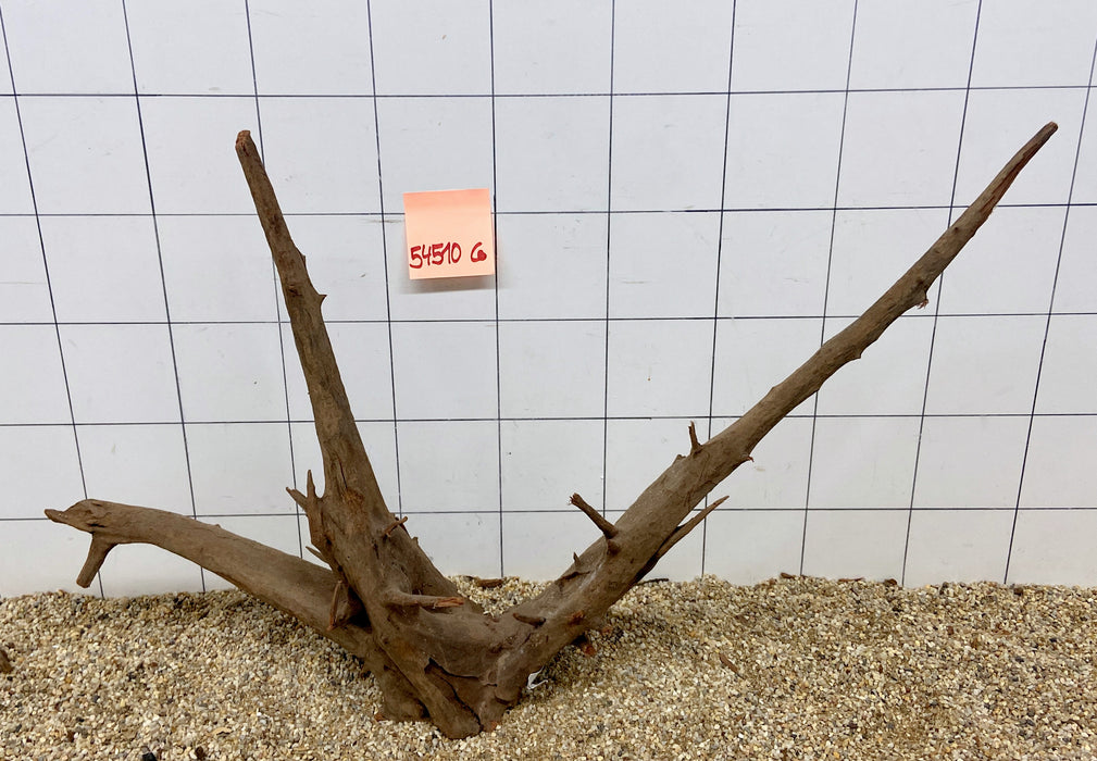 54510CO - Corbo Wurzel Holz