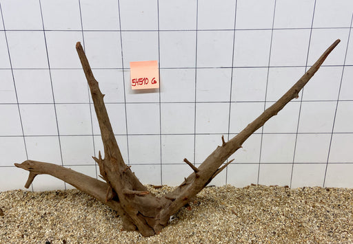 54510CO - Corbo Wurzel Holz