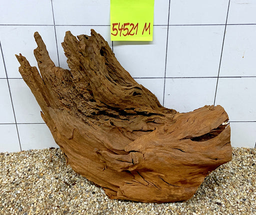 54521M - Mangrovenwurzel Holz