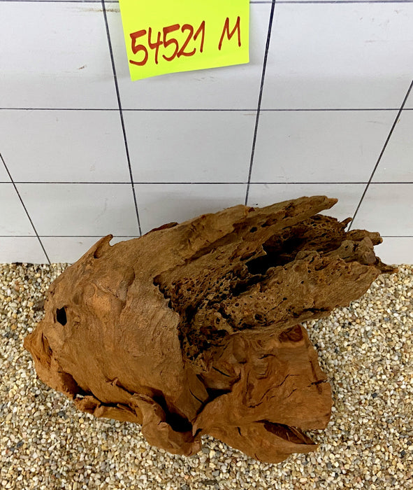 54521M - Mangrovenwurzel Holz