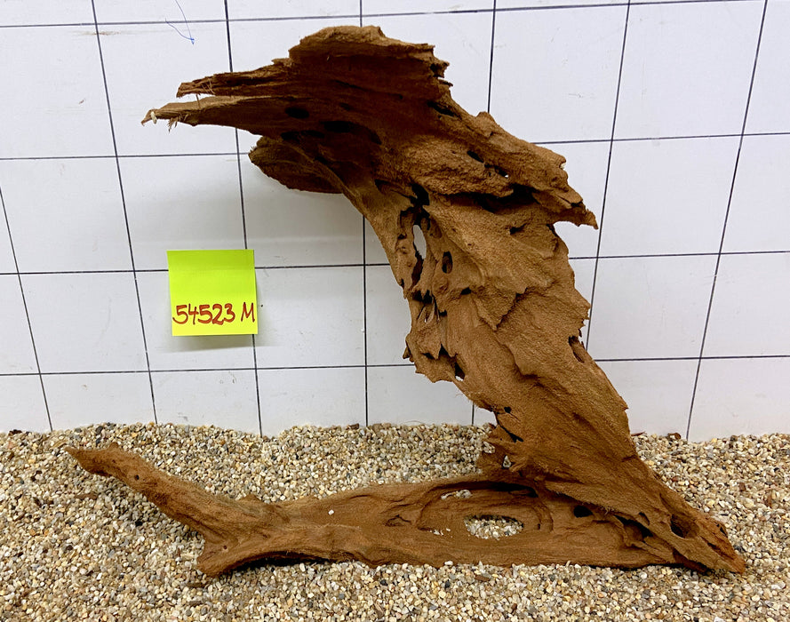 54523M - Mangrovenwurzel Holz