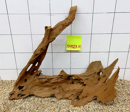 54523M - Mangrovenwurzel Holz