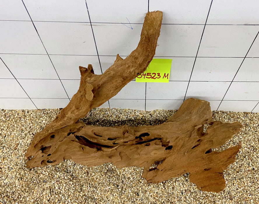 54523M - Mangrovenwurzel Holz