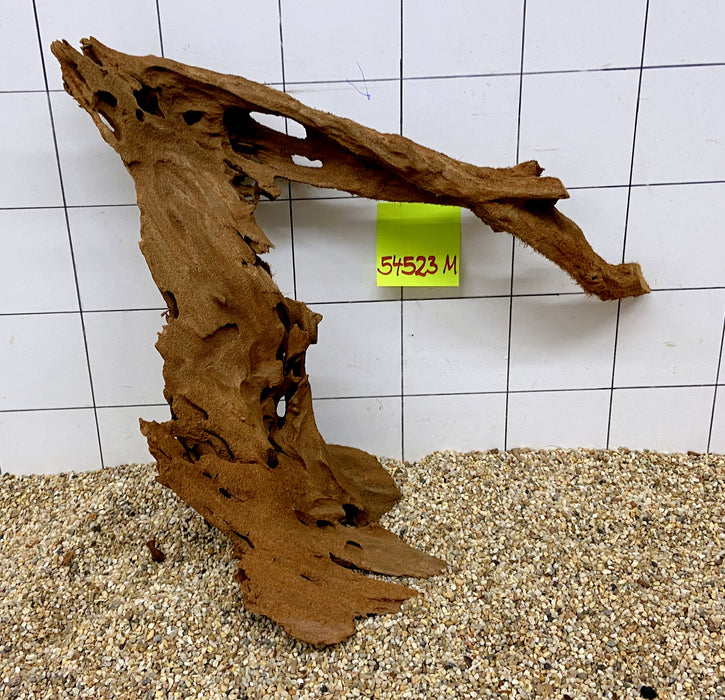 54523M - Mangrovenwurzel Holz