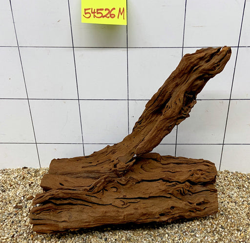 54526M - Mangrovenwurzel Holz