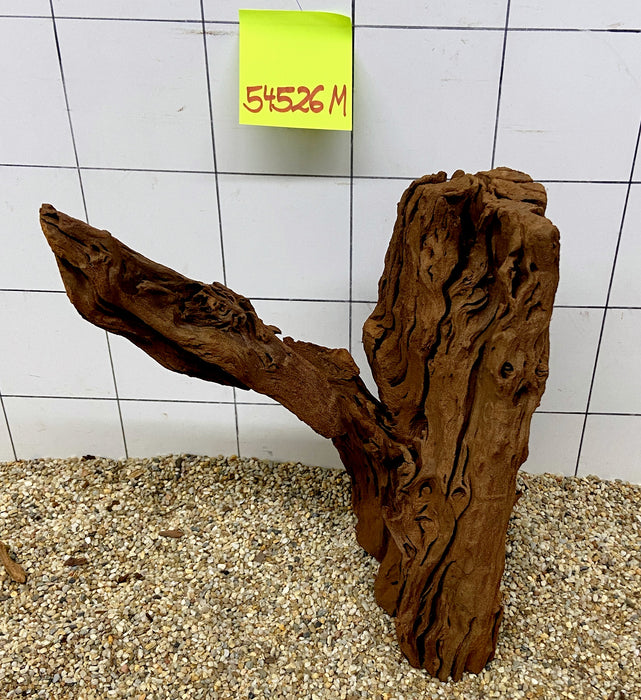 54526M - Mangrovenwurzel Holz