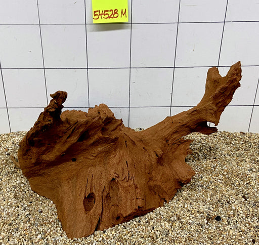 54528M - Mangrovenwurzel Holz