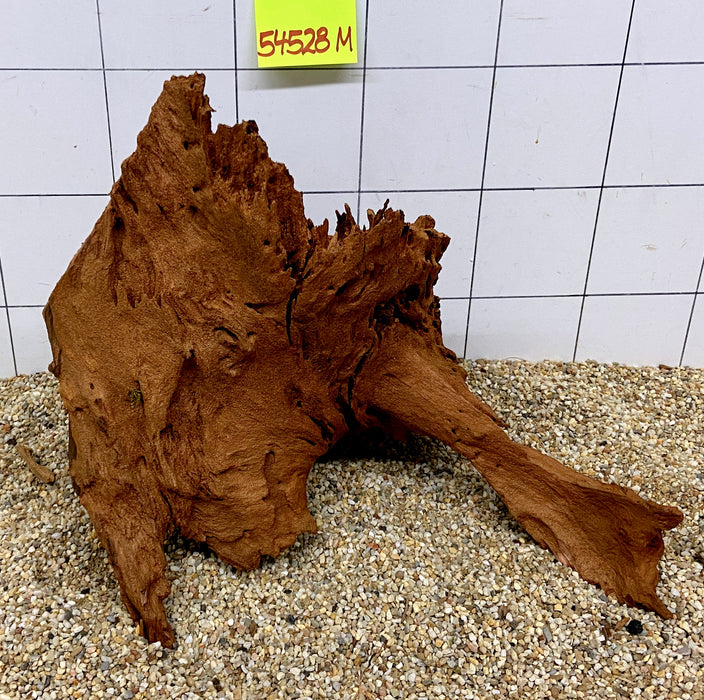 54528M - Mangrovenwurzel Holz