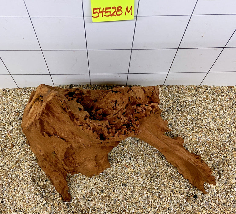 54528M - Mangrovenwurzel Holz