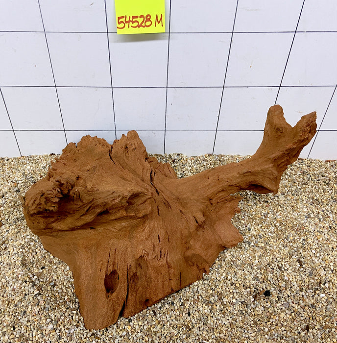 54528M - Mangrovenwurzel Holz