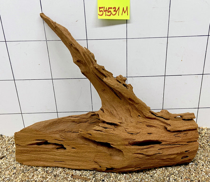 54531M - Mangrovenwurzel Holz
